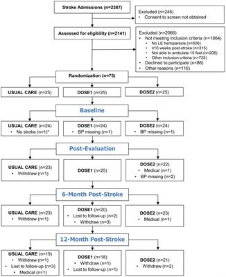 Blood pressure trajectory of inpatient stroke rehabilitation patients from the Determining Optimal Post-Stroke Exercise (DOSE) trial over the first 12 months post-stroke